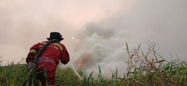 Hotspot Karhutla di Kalteng-Kalbar Turun Tajam