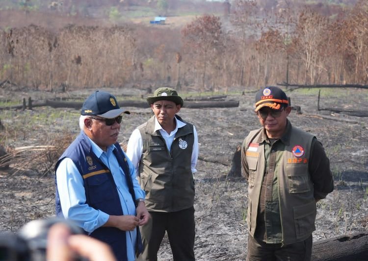 Kemenhut Perkuat Penanganan Karhutla di Kaltim, Sanksi terhadap Tiga PBPH Ditindaklanjuti