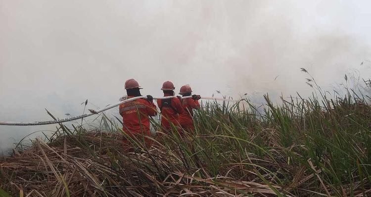 Hotspot Nasional Turun 558 Titik
