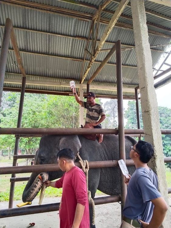 “Diego” Tutup Usia pada umur 17 Tahun