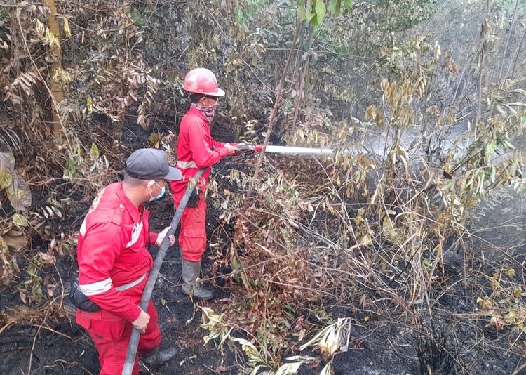 Pengendalian Kalteng Diperkuat