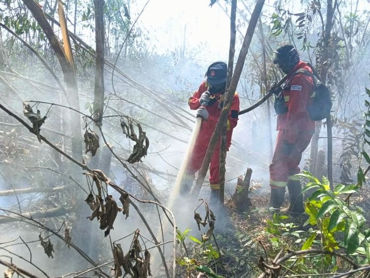 Hotspot Nasional Turun 362 Titik