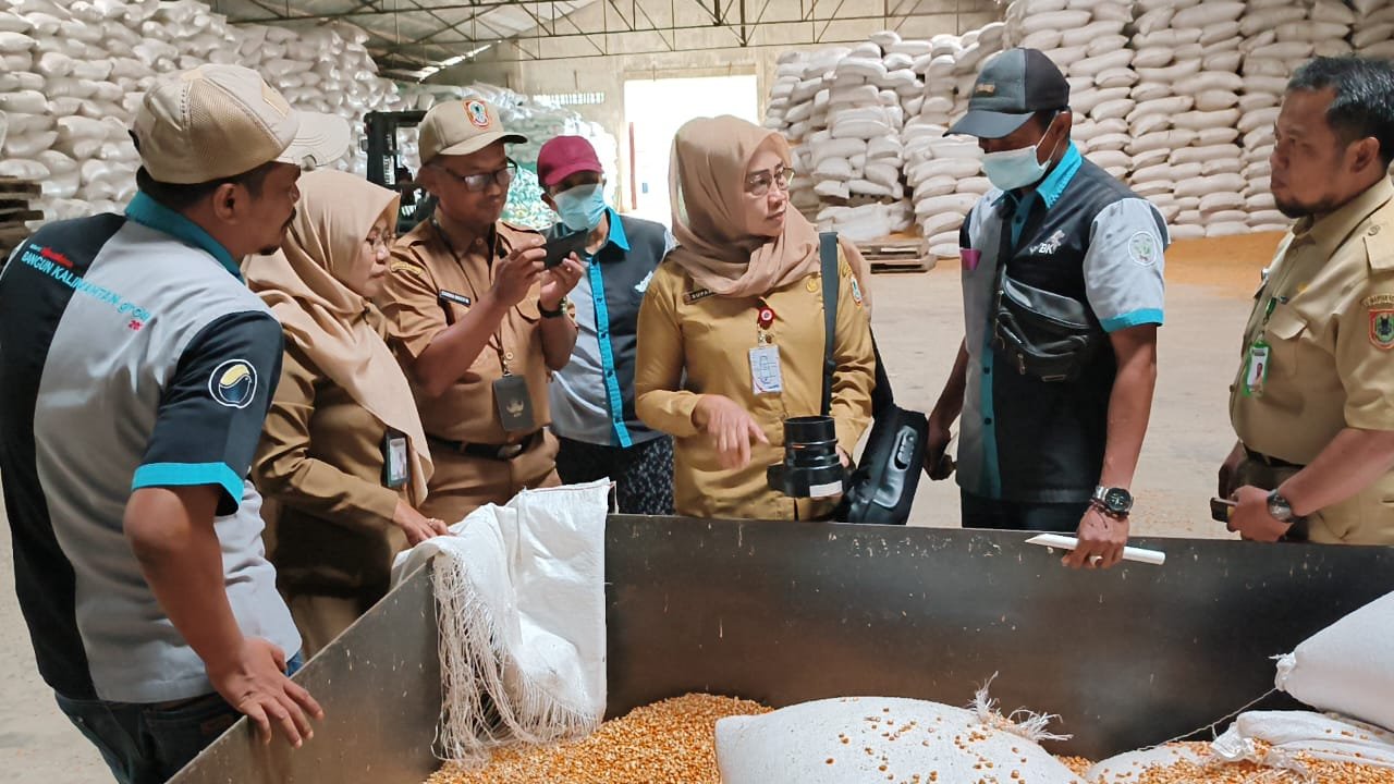 Kalsel Antisipasi Dampak Kekeringan dan Kabut Asap Terhadap Ternak