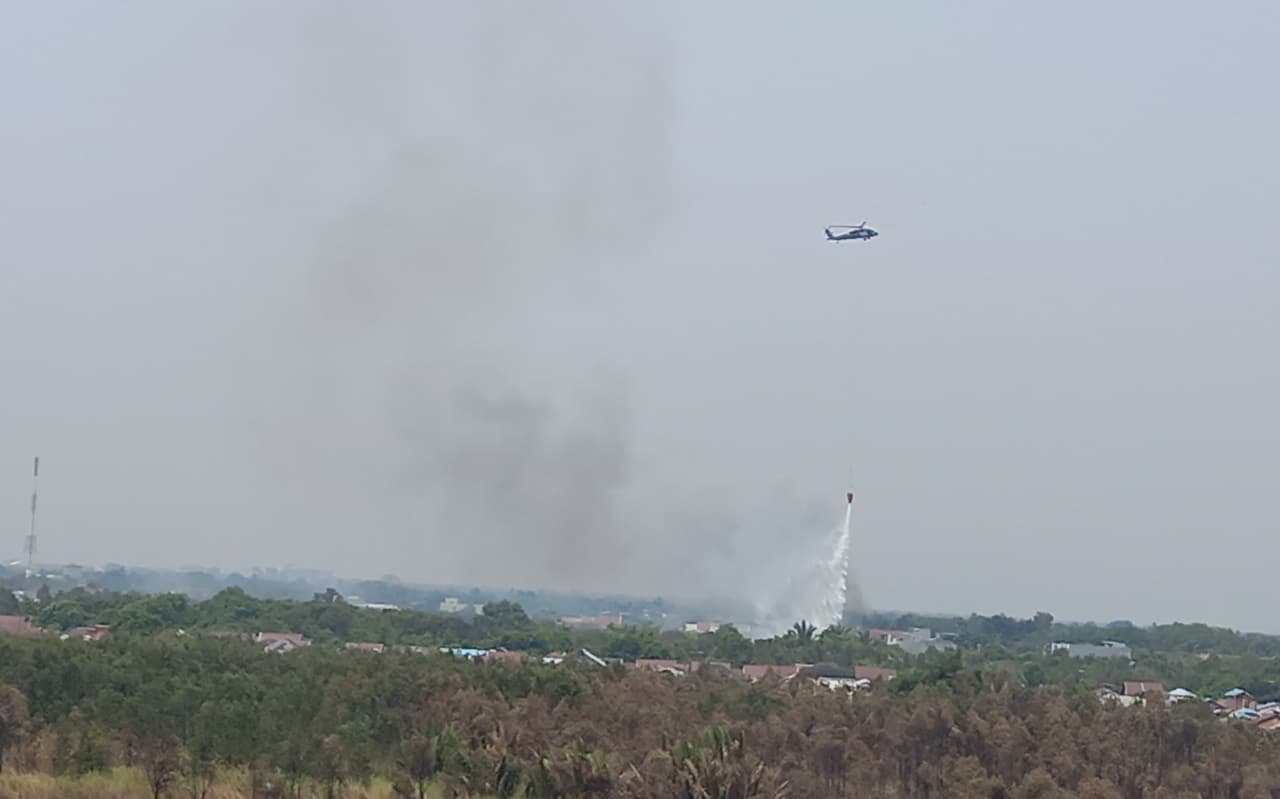 Lahan Gambut Sekitar Kampus UNISKA Banjarmasin Rawan Terbakar