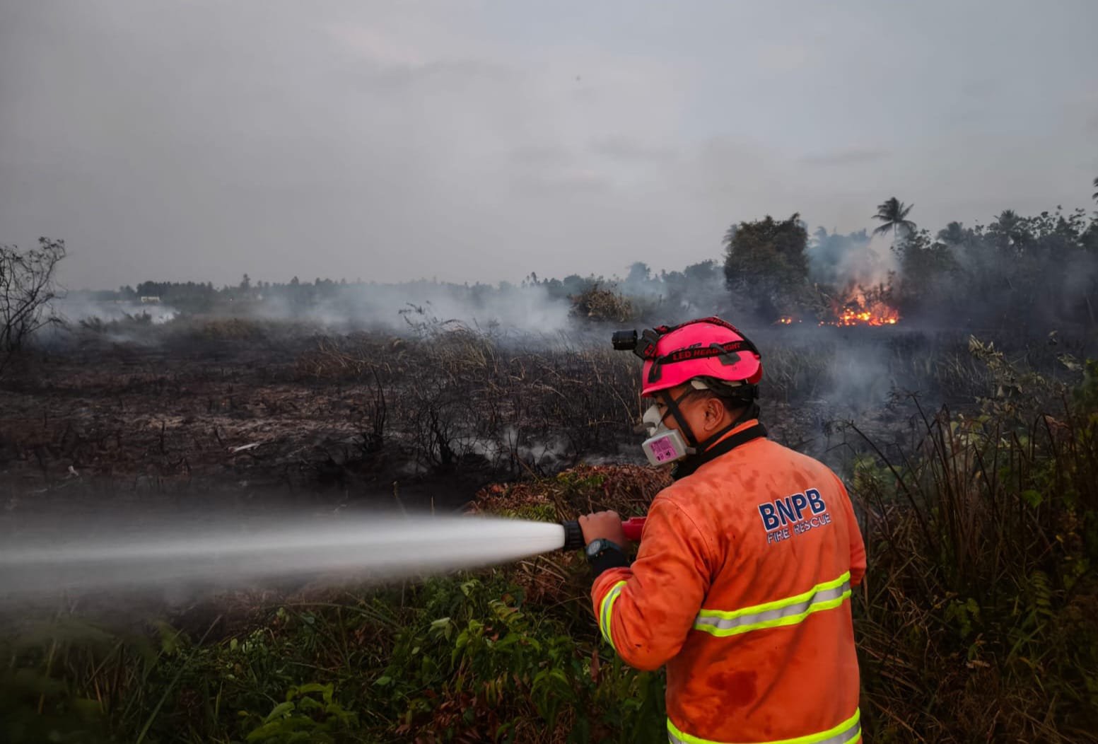 Satgas Karhutla Fokus Tangani Kebakaran Gambut Batola dan Banjar