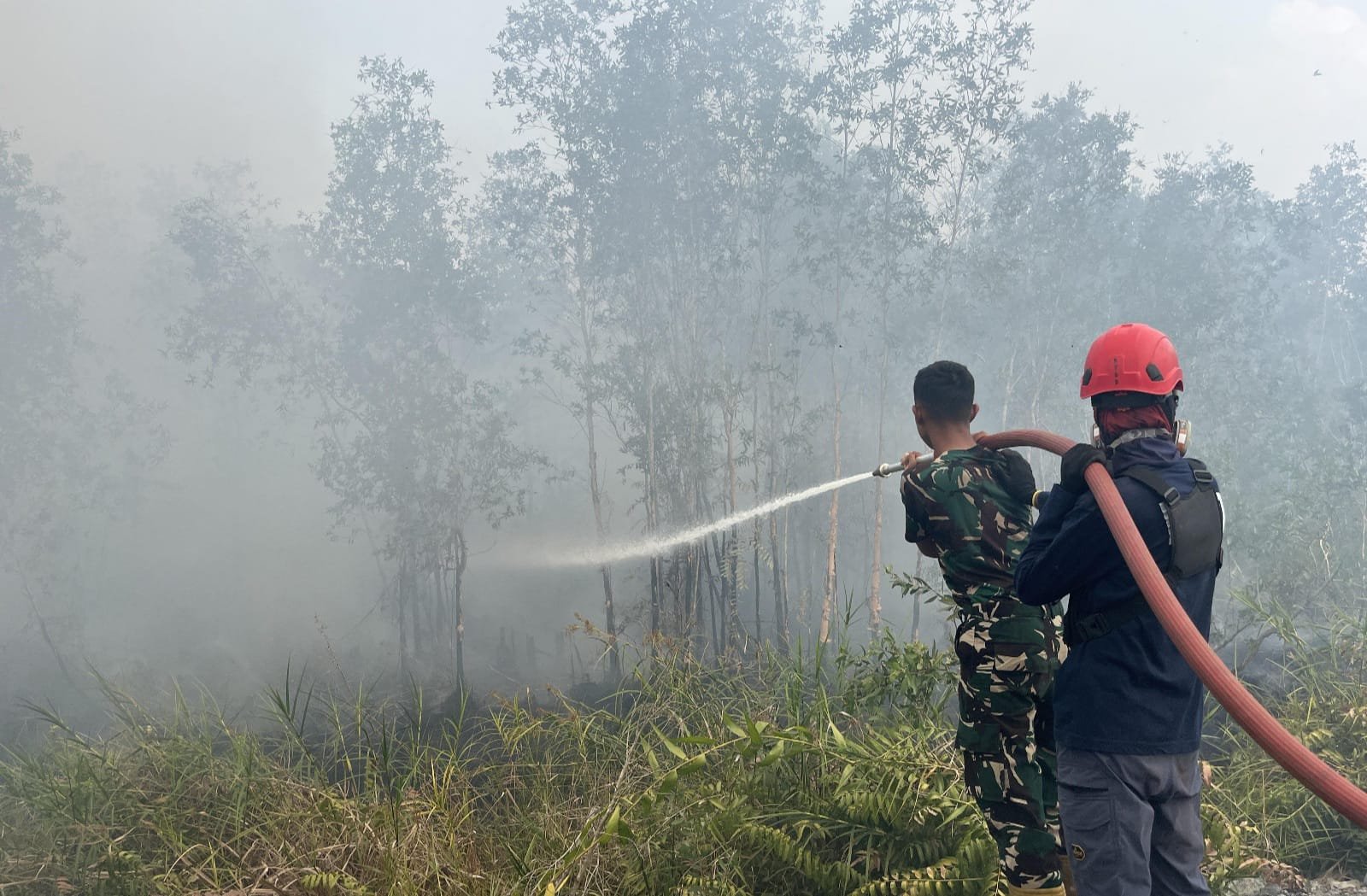12 Kabupaten/Kota di Kalsel Berstatus Siaga dan Tanggap Darurat Karhutla