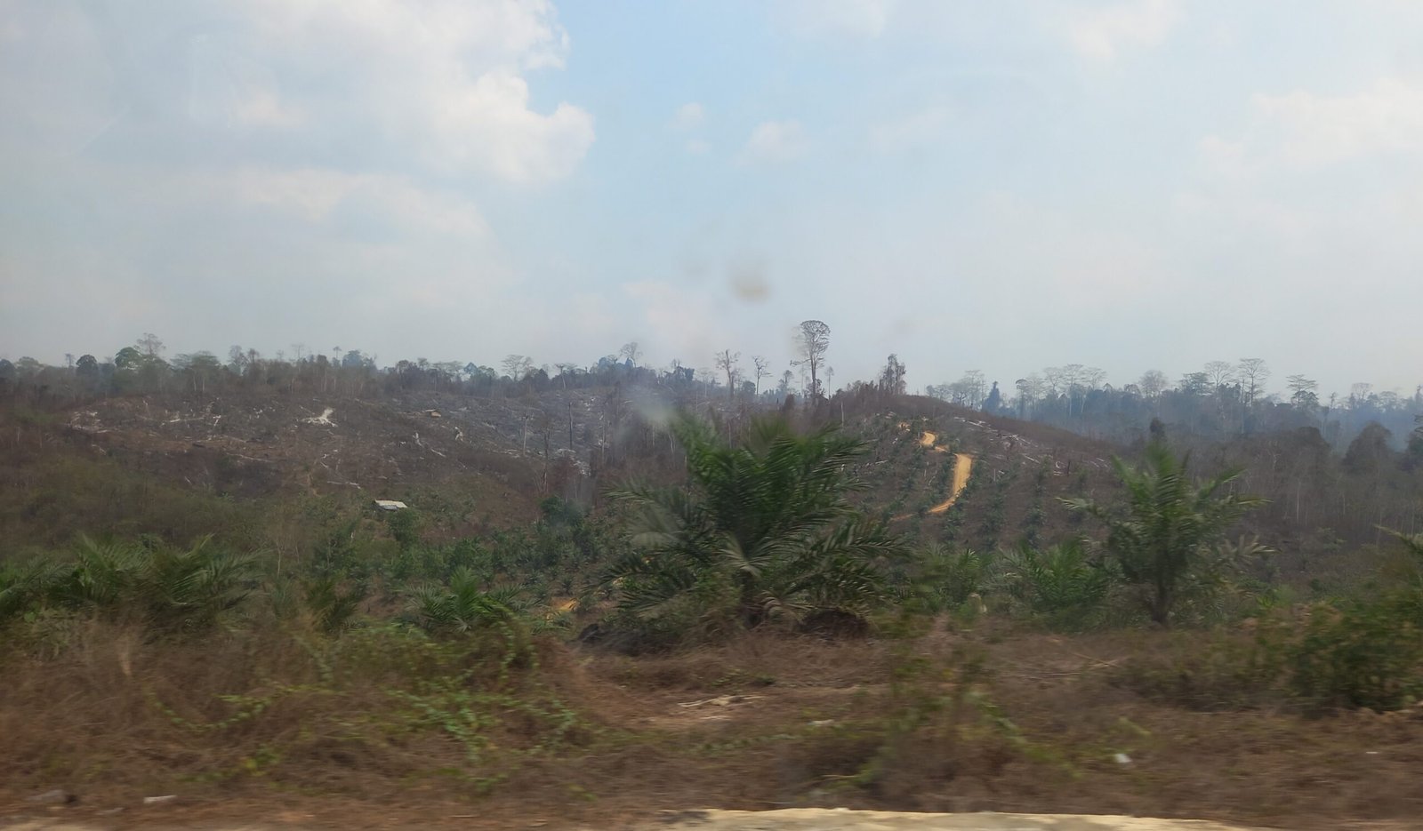 Tiga Kabupaten di Kalsel Tetapkan Status Tanggap Darurat