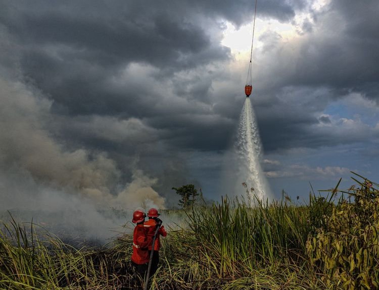 Menhut pimpin operasi di Kalimantan Barat, OMC Diperkuat